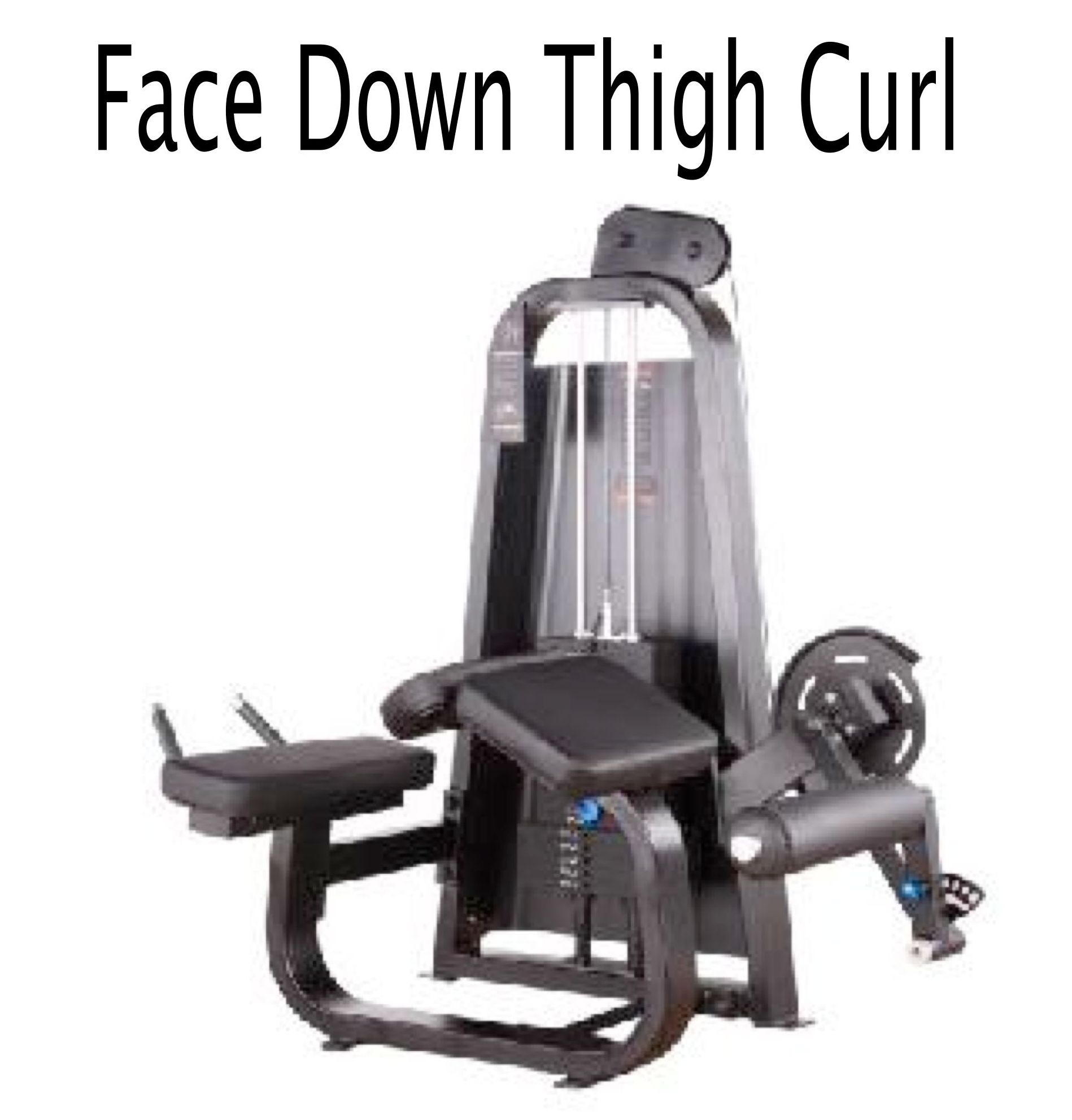 Face down thigh curl