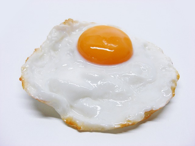 egg